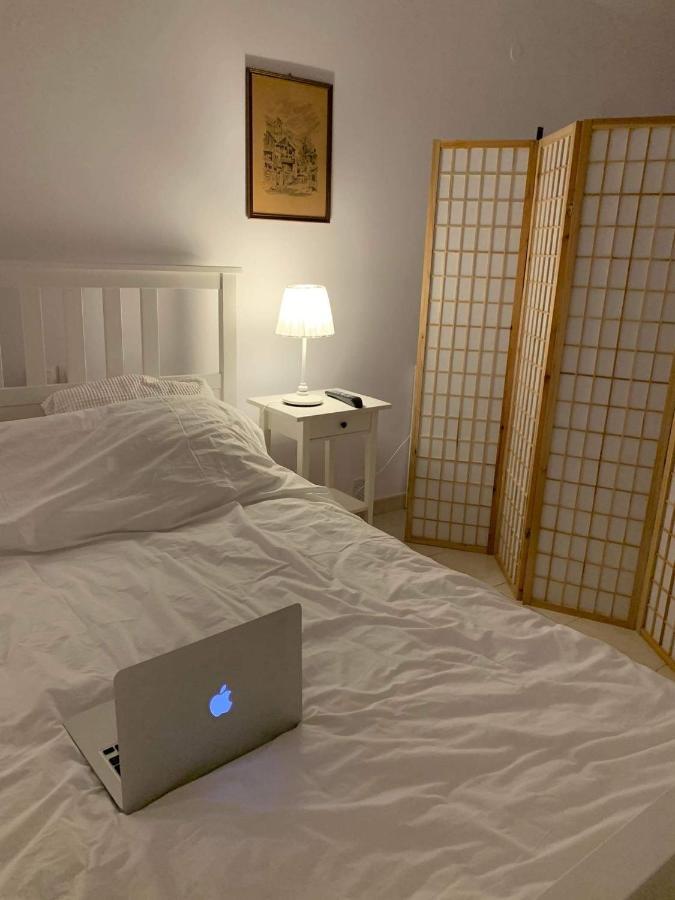 Appartement Ευημερία à Ándros Extérieur photo